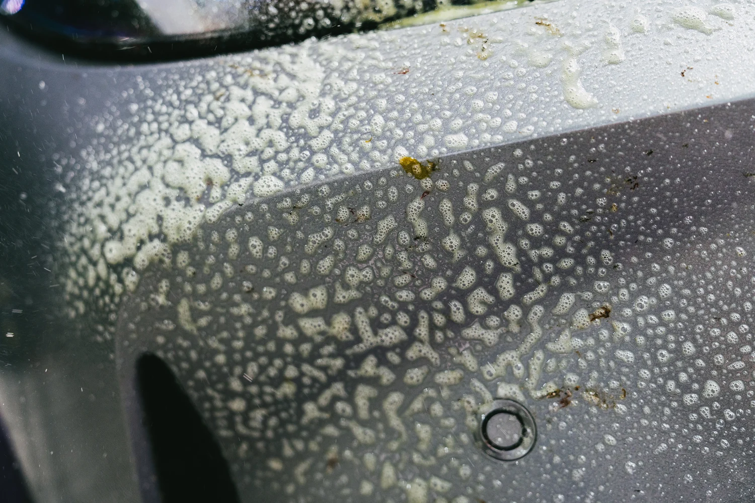 Insect Remover Gel - Image 4