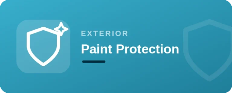 Paint Protection